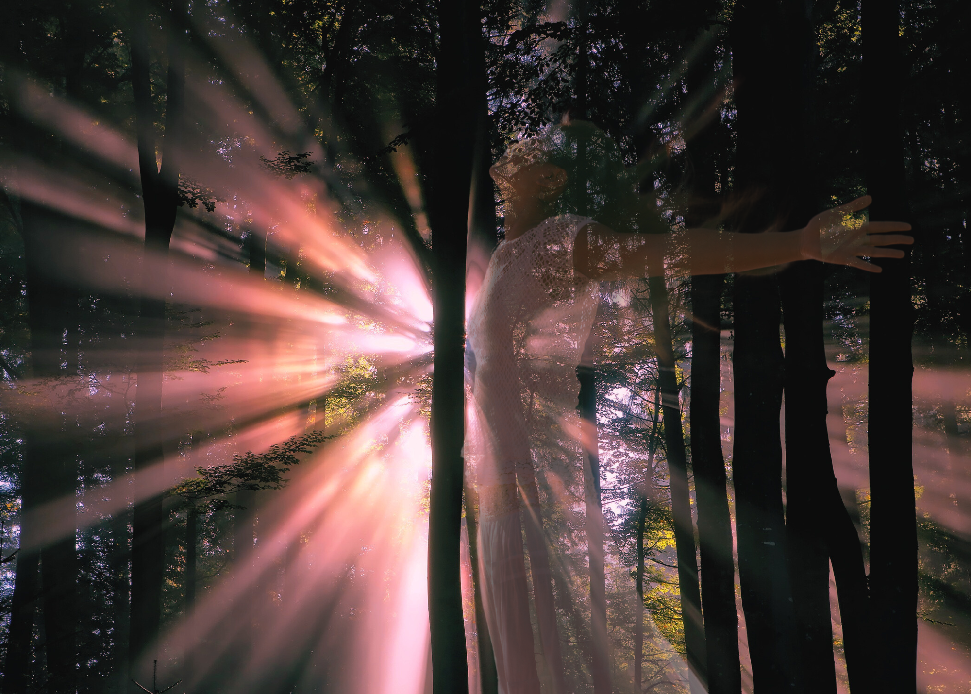 woman emerging from dark forest, with sunbeams streaming through trees